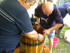 vendanges 2010 8